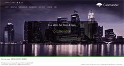 Desktop Screenshot of calamandergroup.com